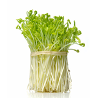 Pea Sprout Extract