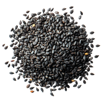 Sesame Seed
