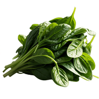 Spinach